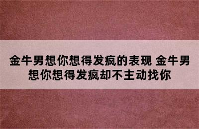 金牛男想你想得发疯的表现 金牛男想你想得发疯却不主动找你